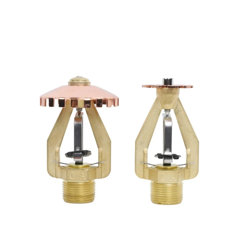 Warehouse Fire Sprinkler System